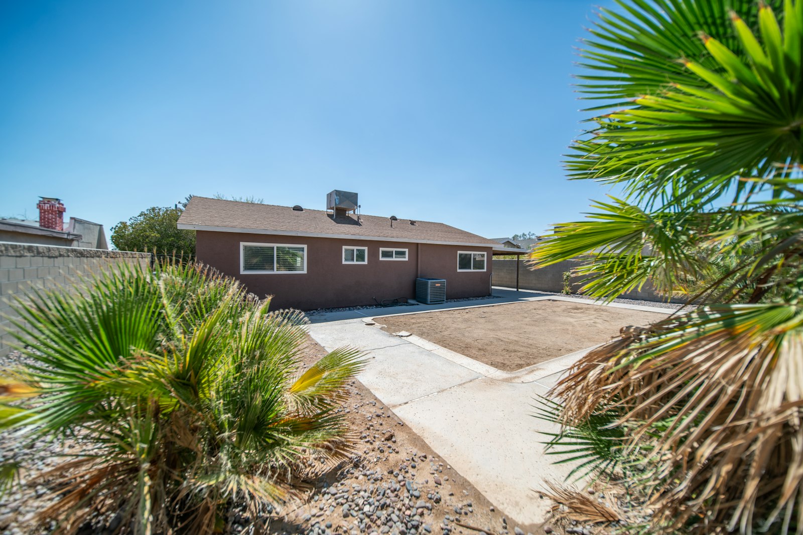 Skinned queen palm and trimmed shrubs framing the entry of a Sun City ranch home.